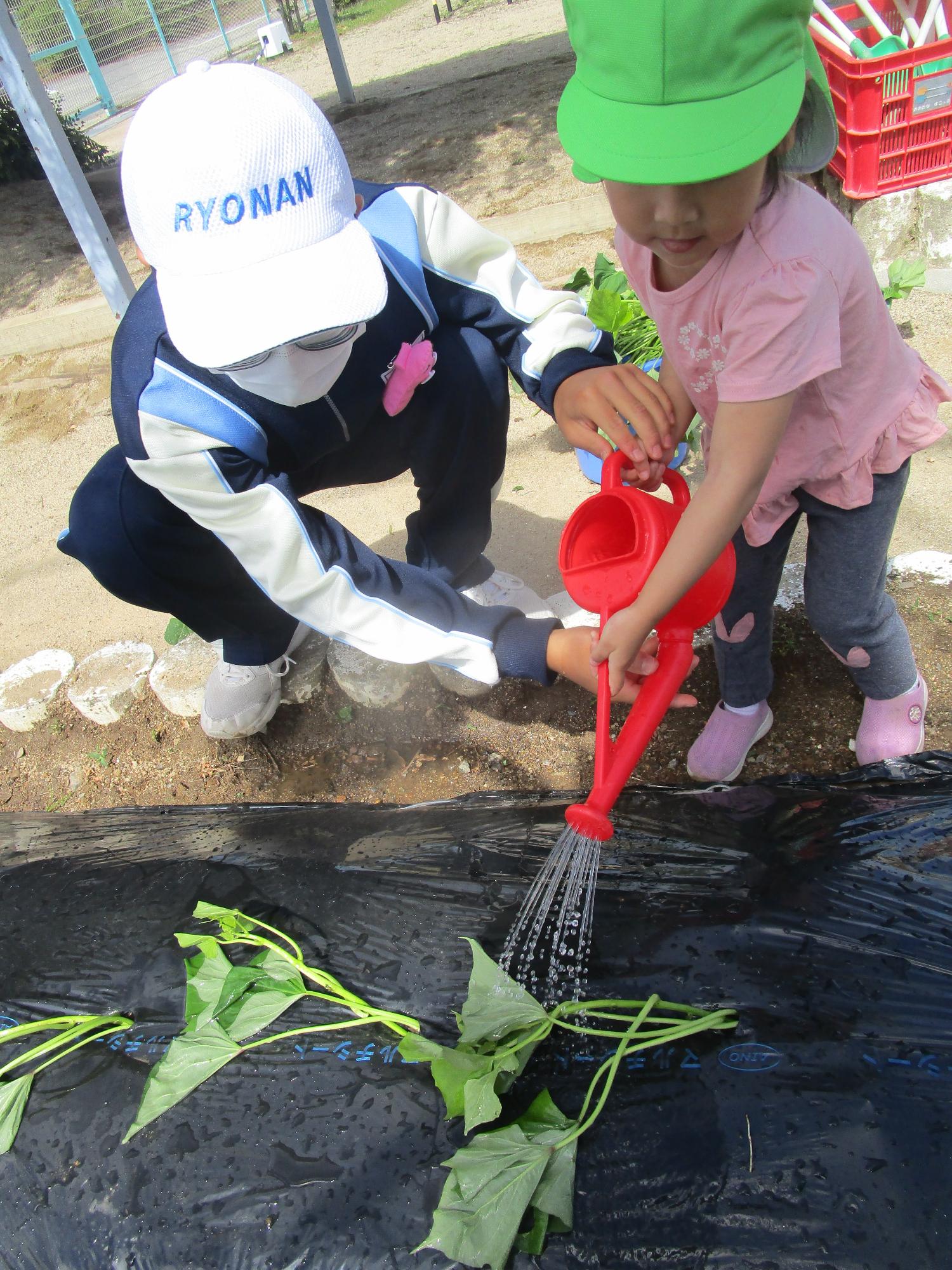 中学生と水やり