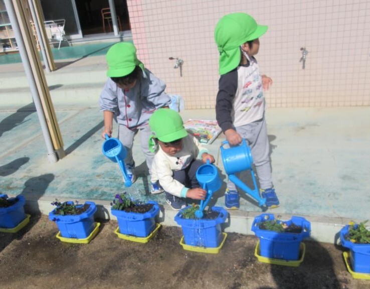 水やり　3歳児