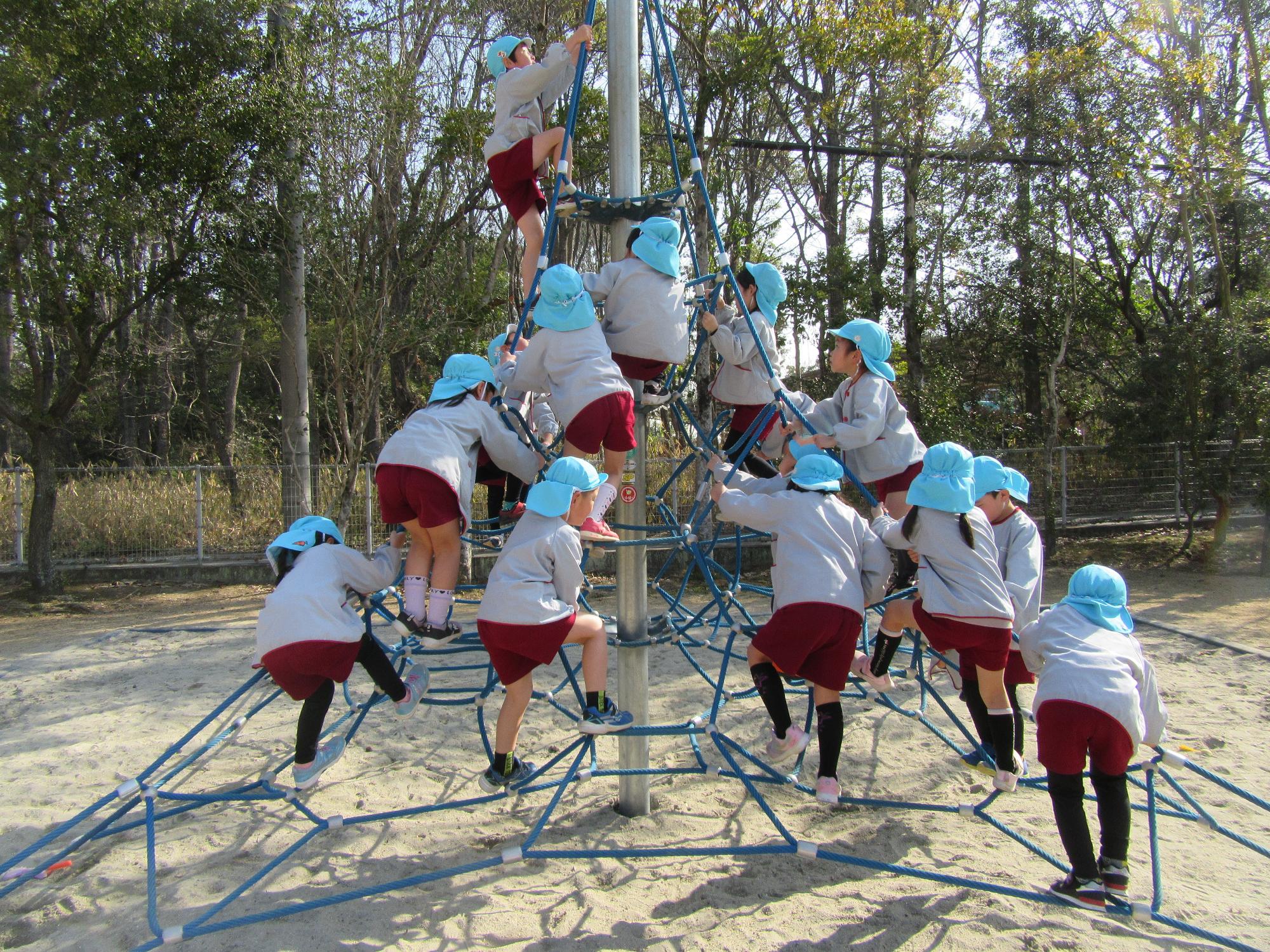 みんなで登ろうよ
