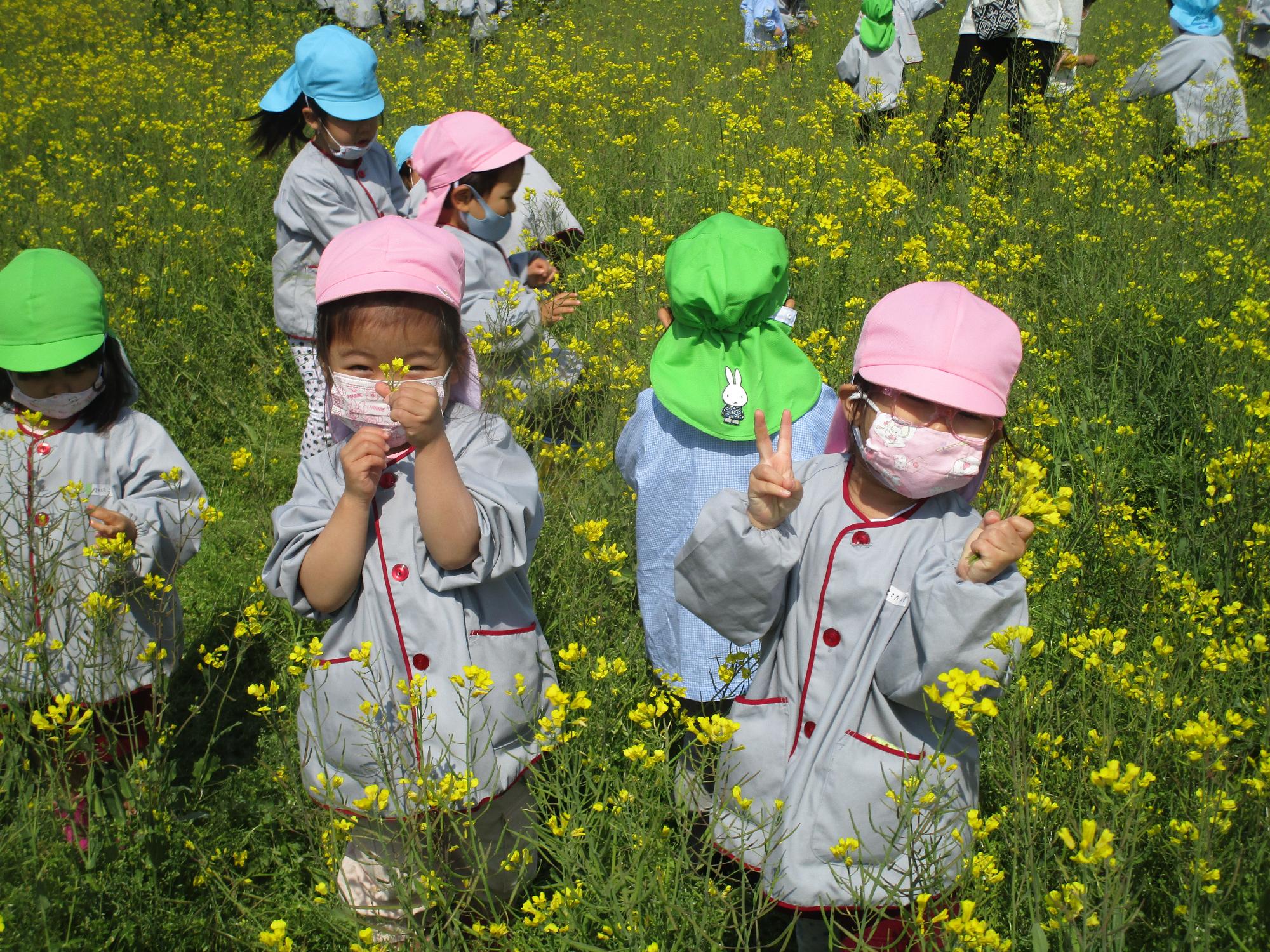 かわいい花摘んだよ