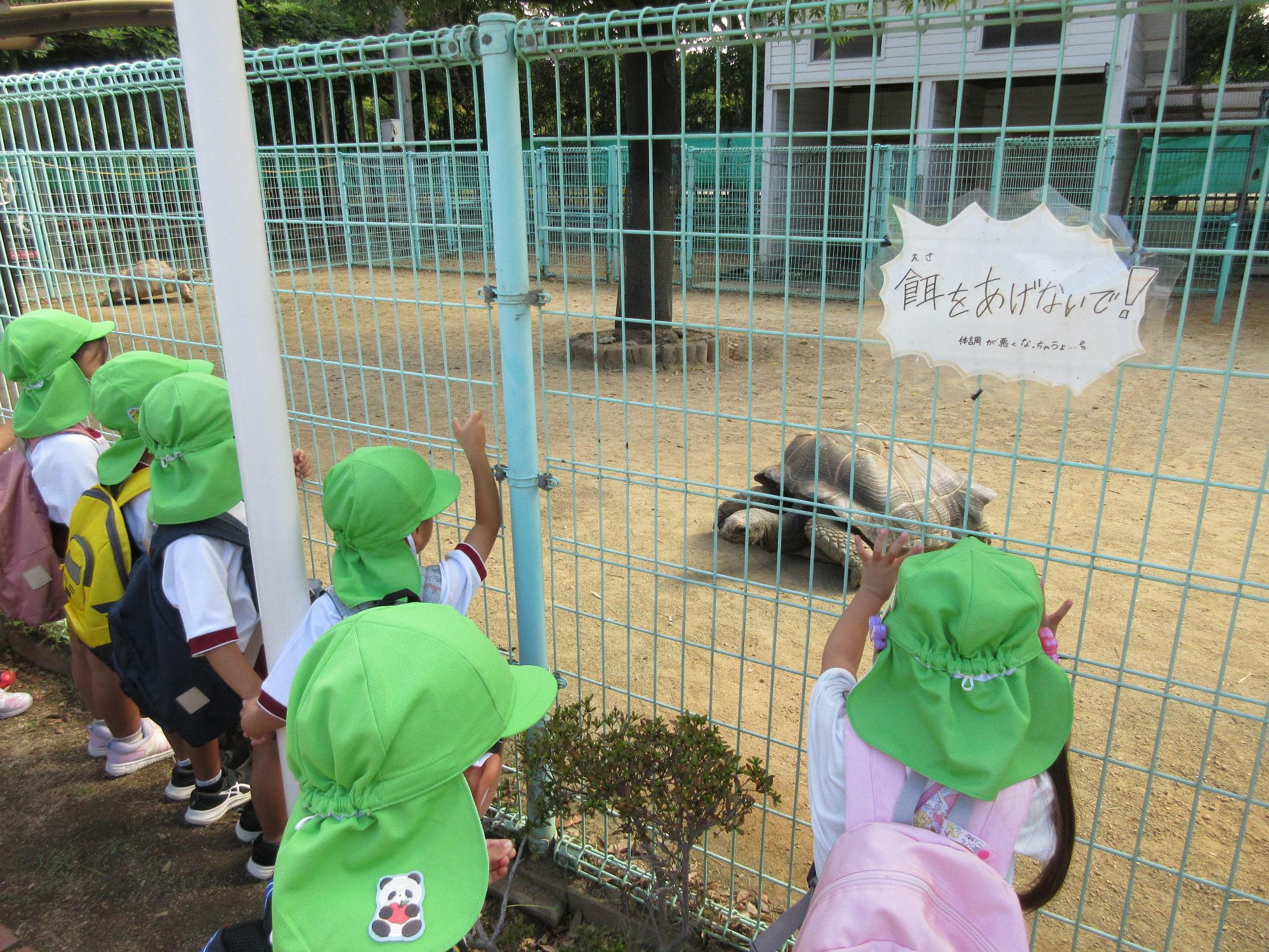 動物園3歳児