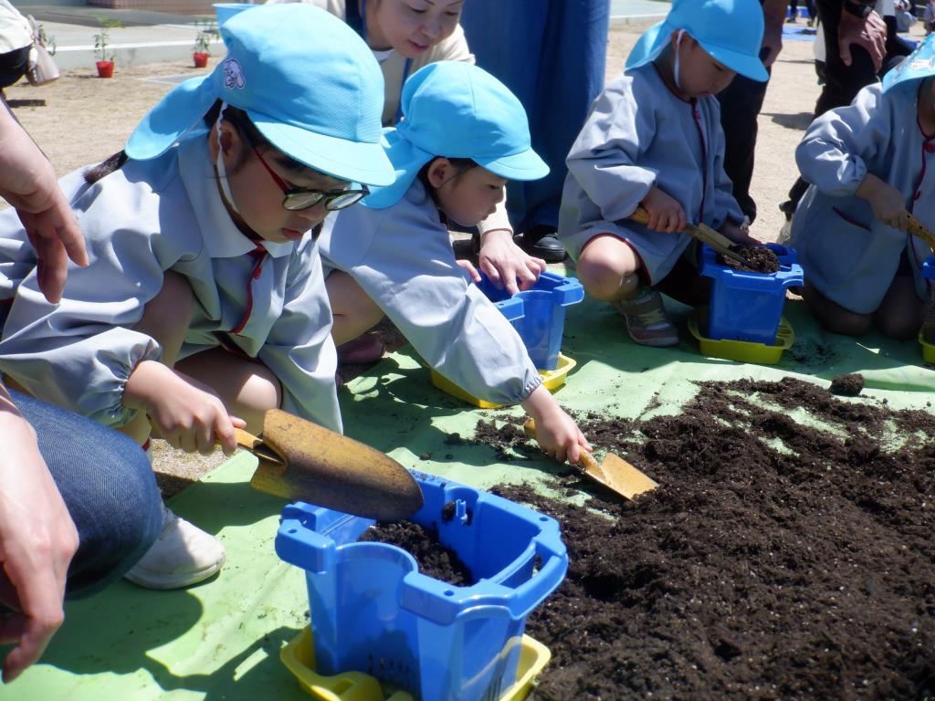 夏野菜植え　5歳児
