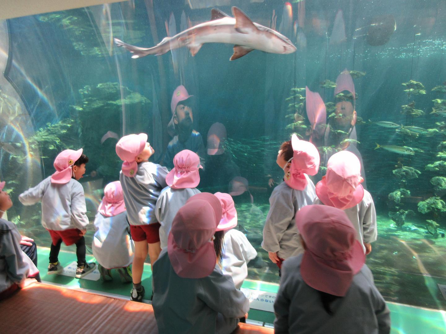 お別れ遠足　4歳児