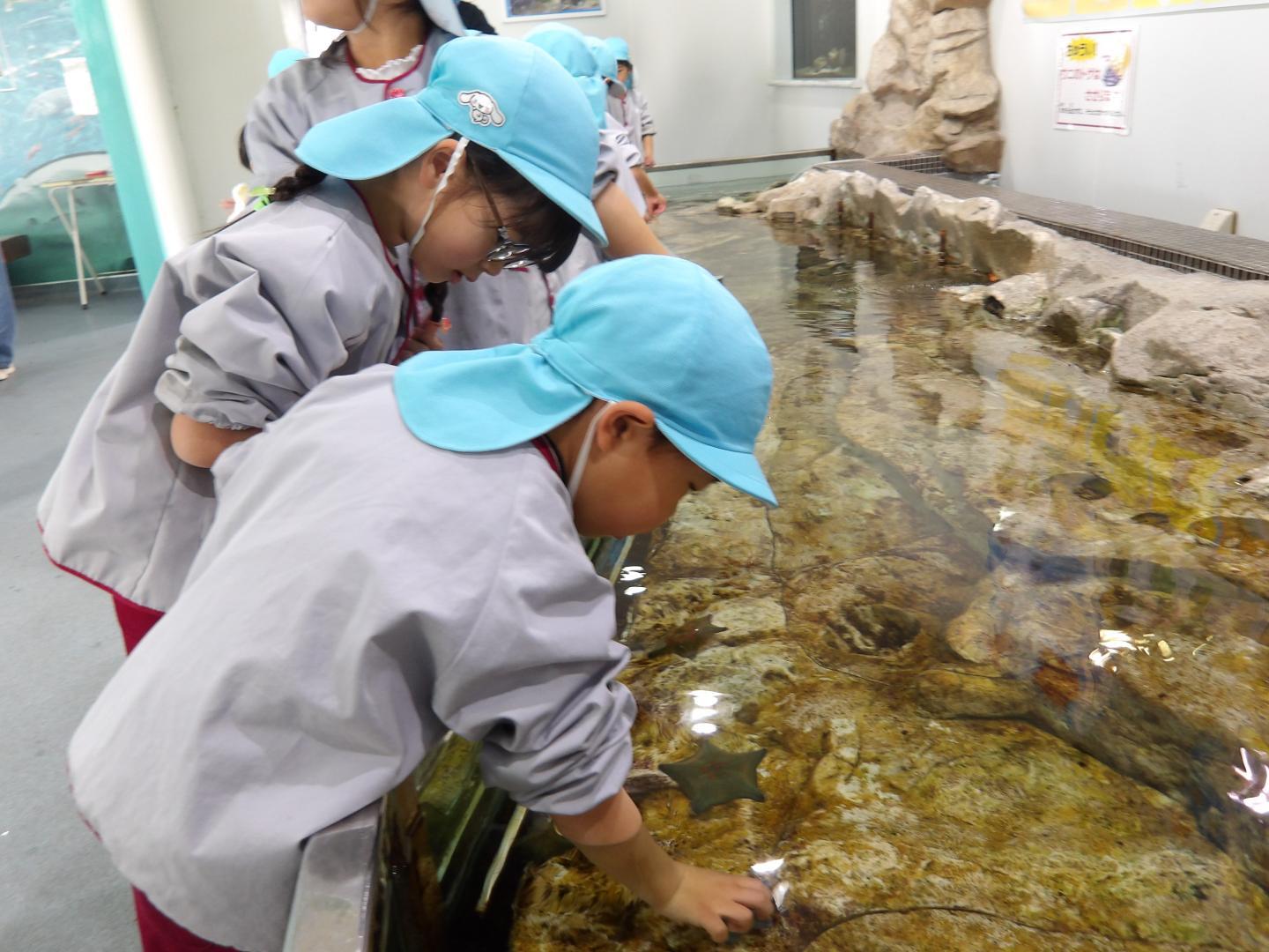 お別れ遠足　5歳児