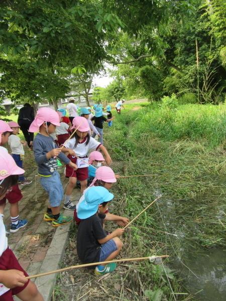 平成31年度1学期やまて幼稚園の近くで園児がザリガニ釣りをしている時の写真
