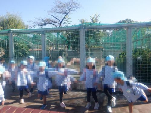 令和7年度動物園フラミンゴをみている