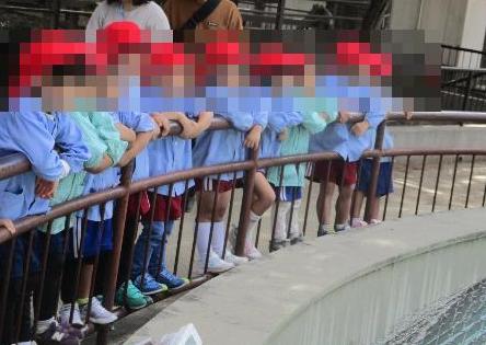 令和7年動物園オタリアをみているところ