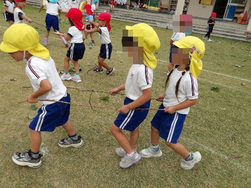 芋ほりで　ツルを引っ張るところ令和7年度