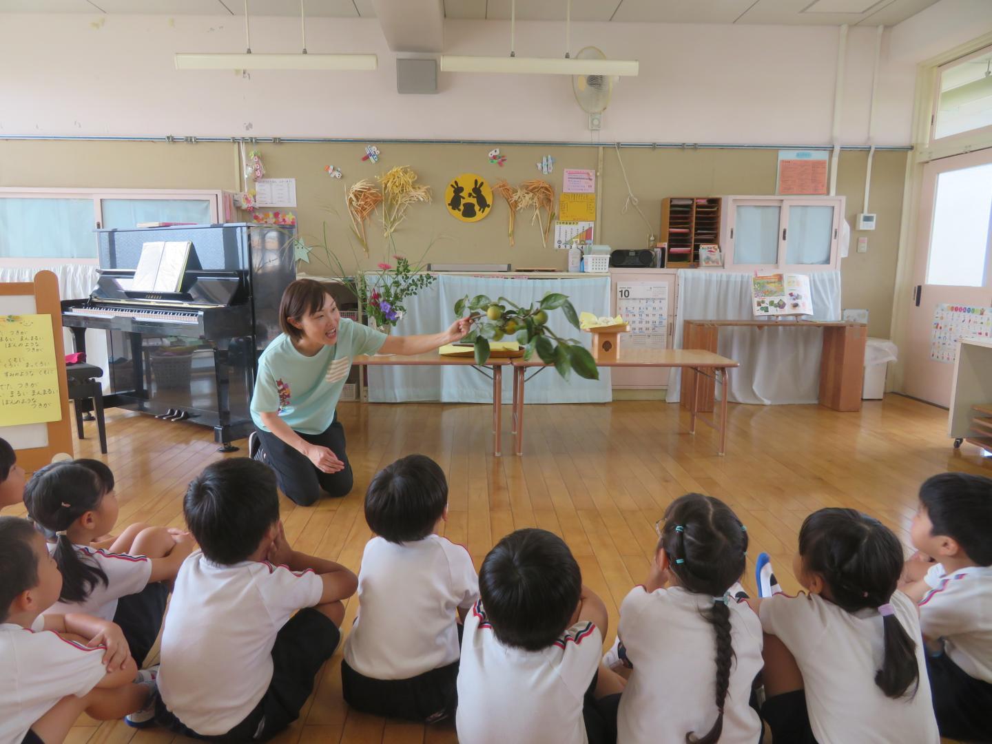 お月見会で柿の実を見ている園児