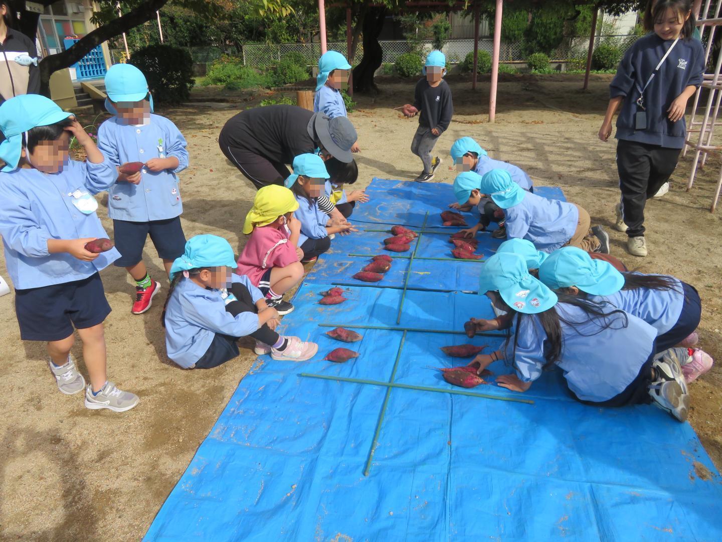 さつまいもを10個ずつ固めて数を数えようとしている様子