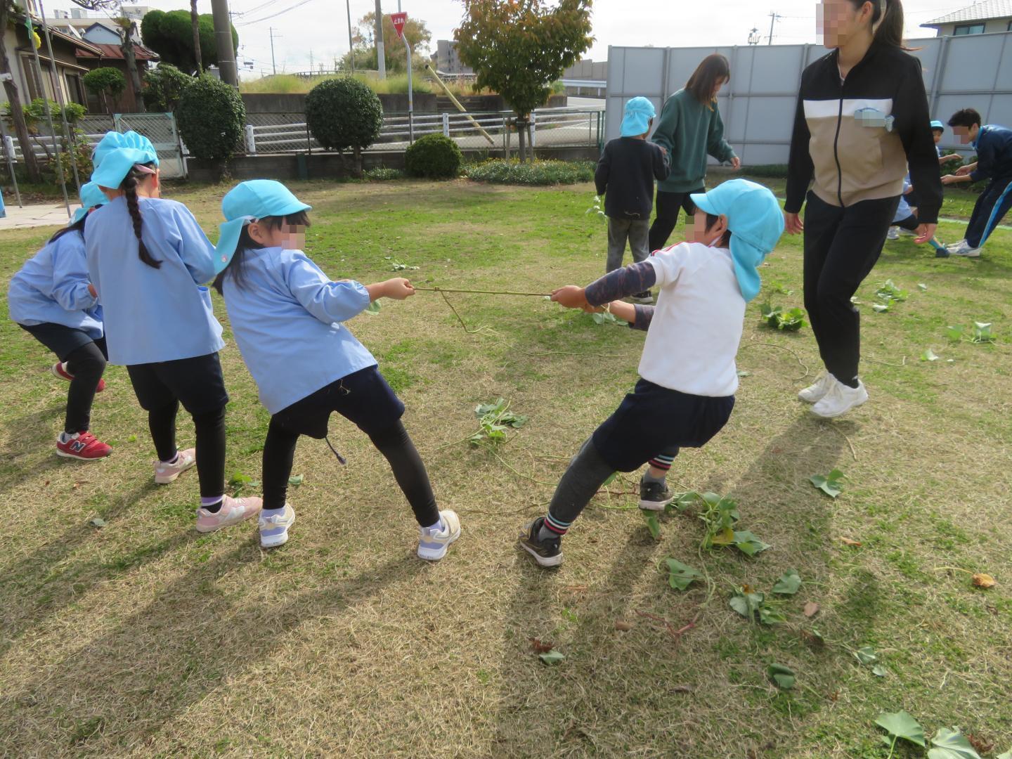 友達と蔓を引っ張り合って力比べをしている様子