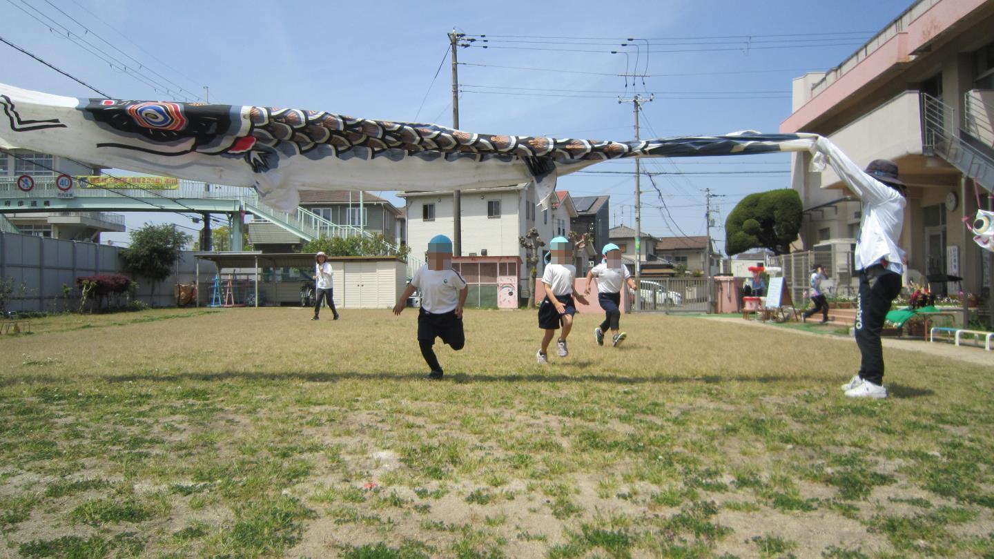 こいのぼりを目指してかけっこをしている園児