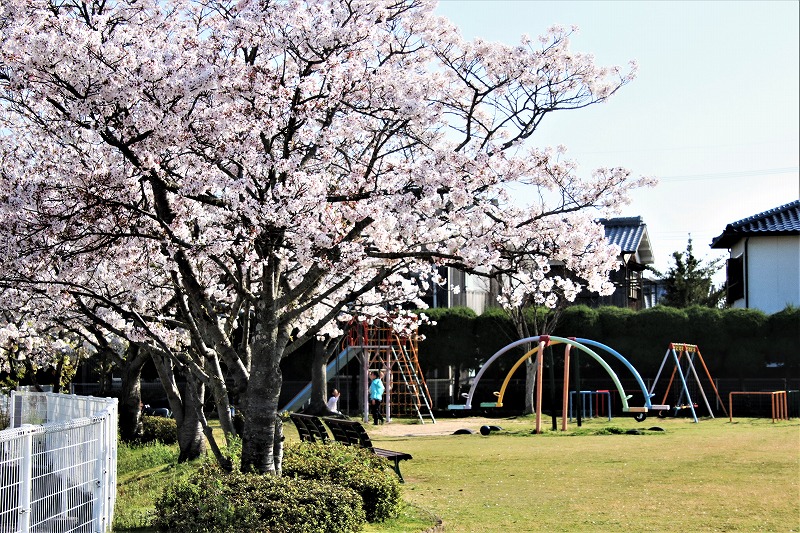 春の堀ノ東公園です