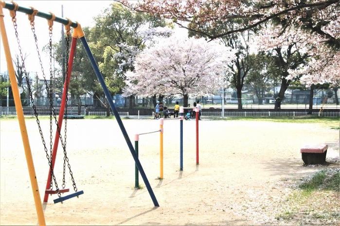 春の下ケ瀬公園