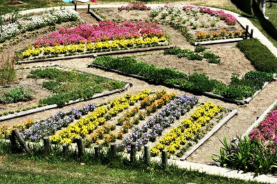 きれいな花壇