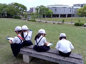 はるみつけ