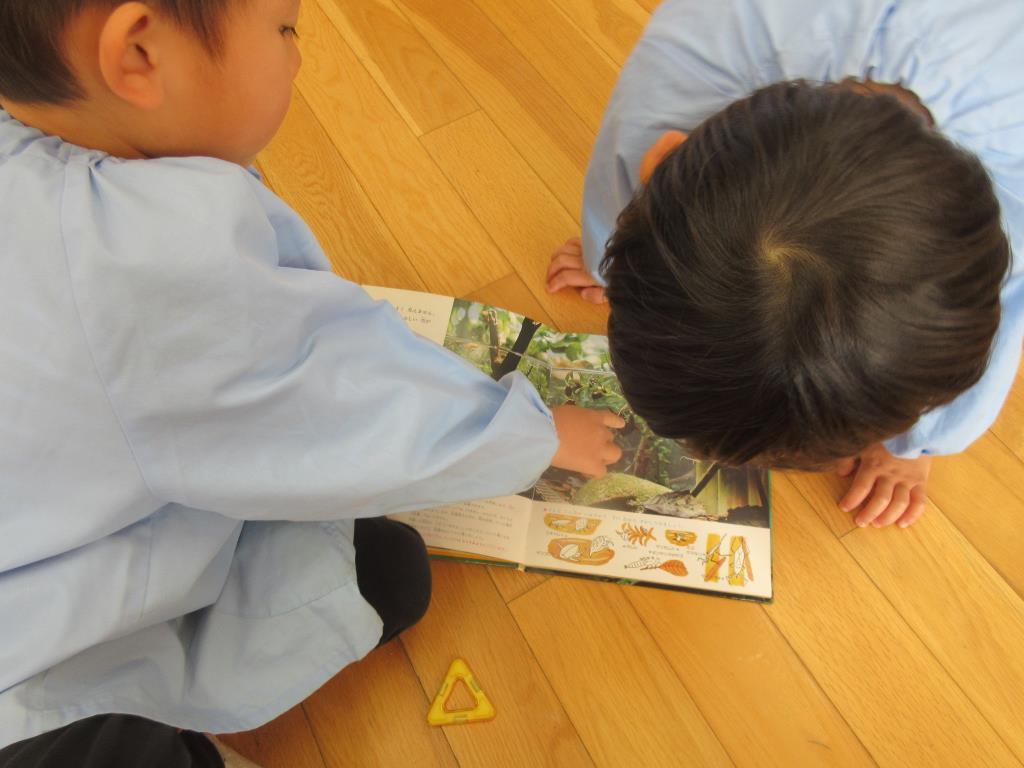 いろいろな絵本で生き物を調べたよ.