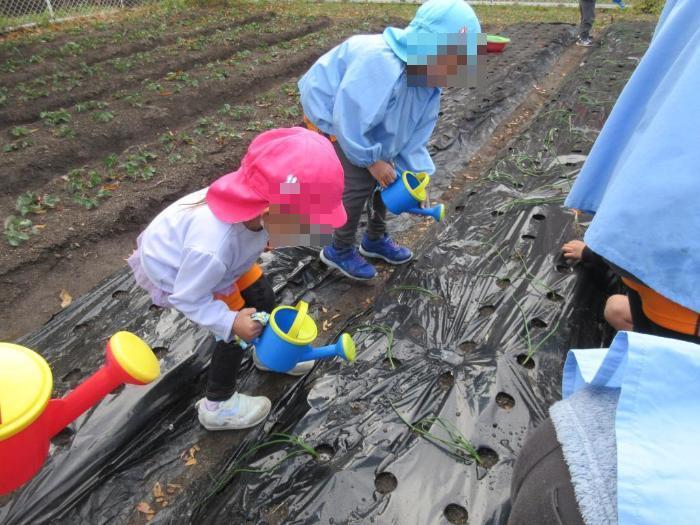 大きくそだってね