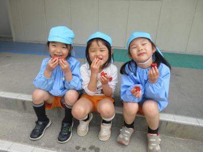 イチゴおいしい！