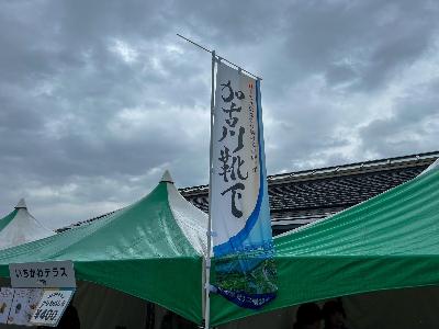 加古川靴下の幟