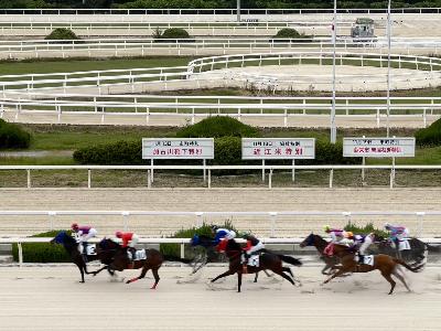 加古川靴下特別の看板の前を競争馬が駆け抜ける様子