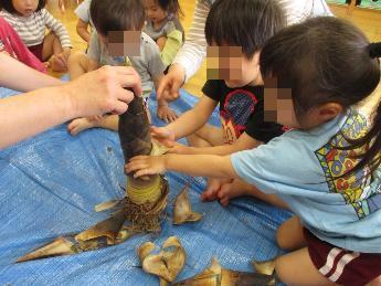 タケノコ触る