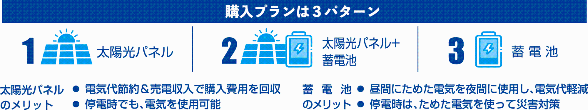 購入パターン