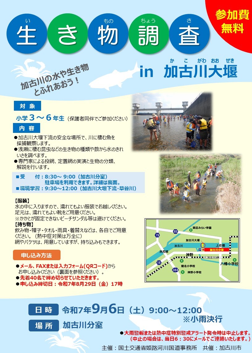 生き物調査in加古川大堰チラシ
