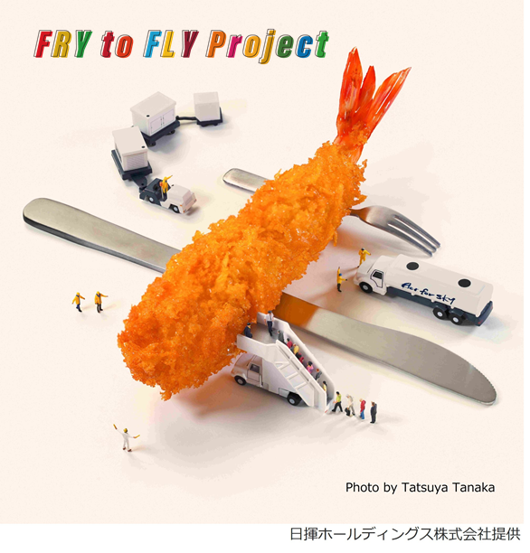 fry to fly project画像
