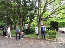 森とあそぼう　募集画像1