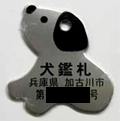 「犬鑑札兵庫県加古川市第〇〇号」と書かれた灰色の犬の形をした札の写真