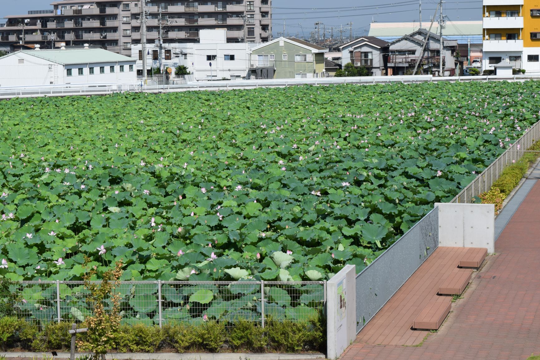 2階からの眺め