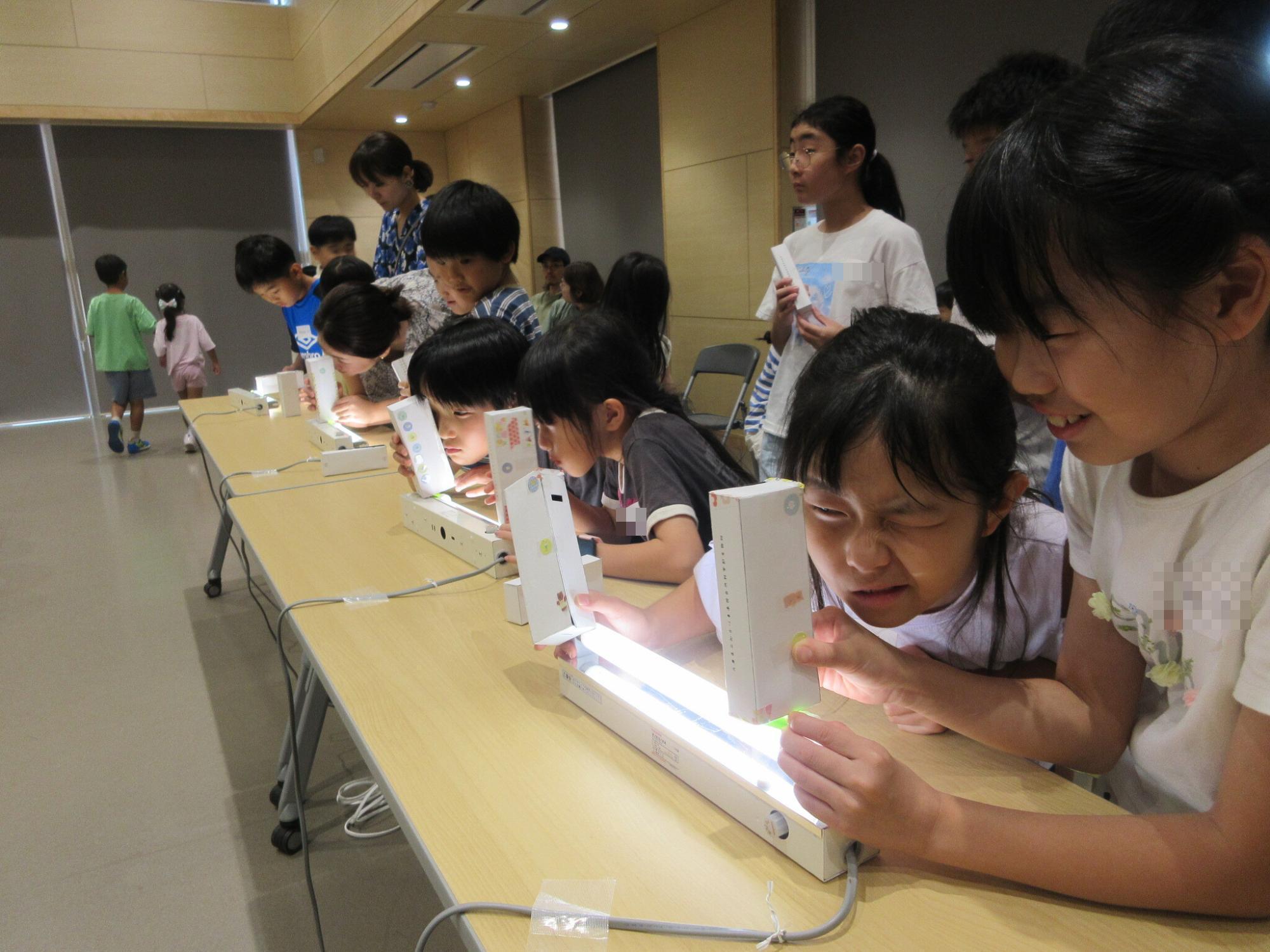 わくわくネイチャースタディの様子
