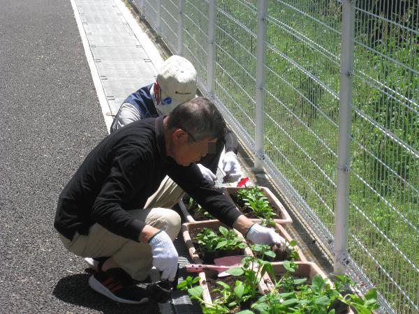 植栽ボランティア