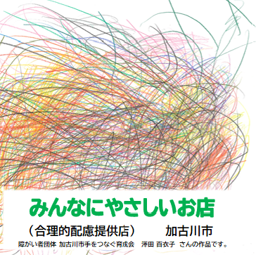 作者：澤田　百衣子