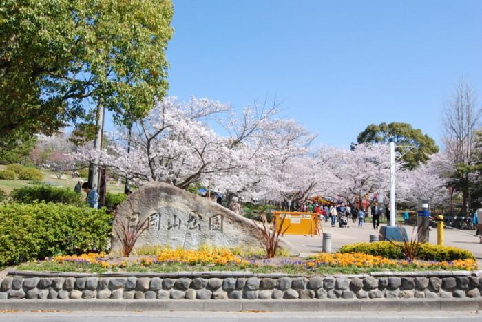 満開の桜と「日岡山公園」の銘板の写真