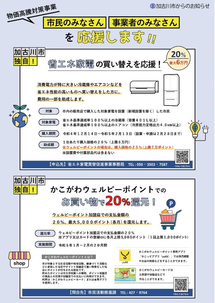 物価高騰対策事業の詳細（省エネ家電買い替え費用助成、ウェルピーポイントでの買い物20％還元）