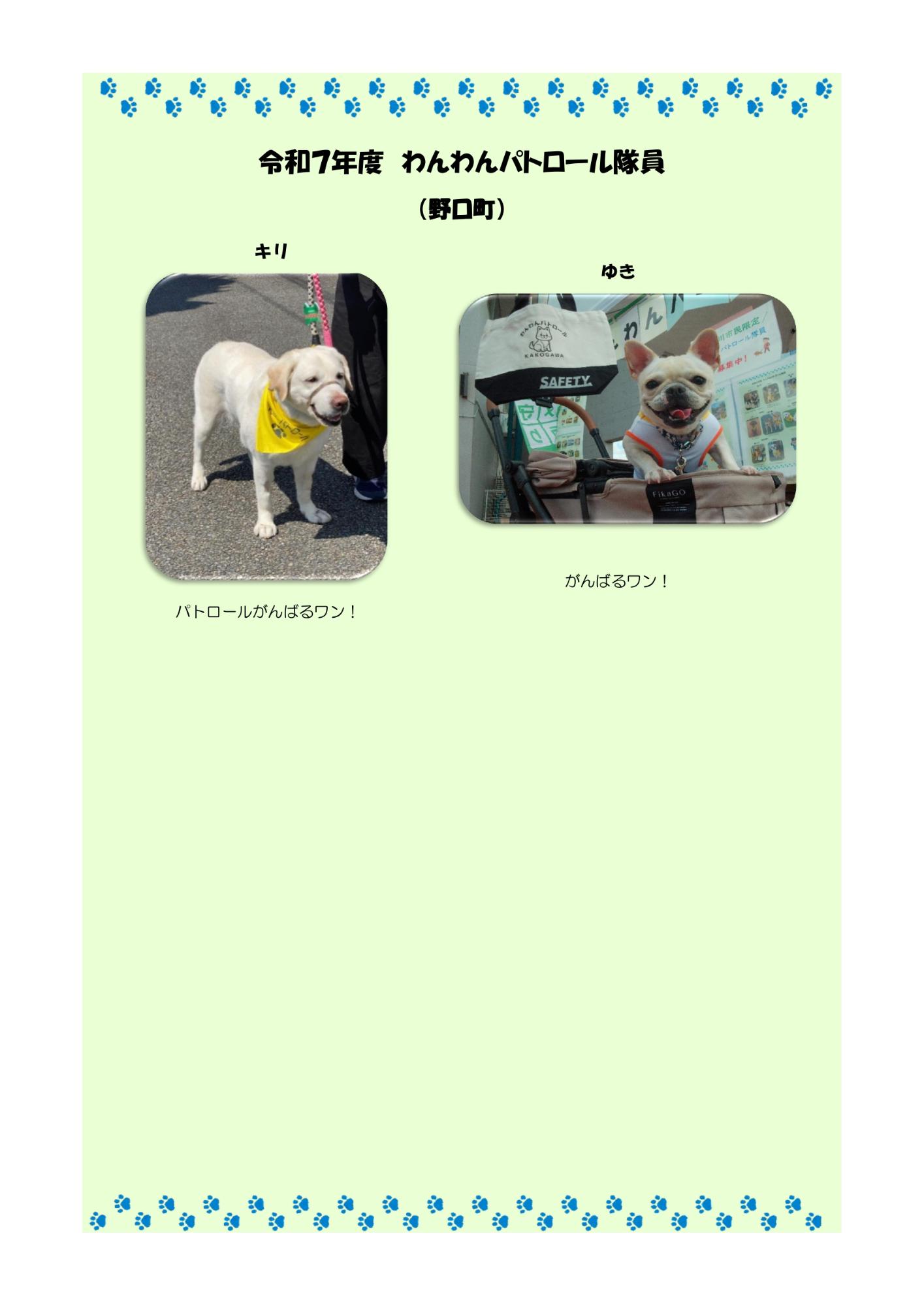 わんわんパトロール隊員紹介