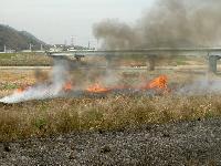 河川敷の中で草が燃え、炎と黒煙が上がっている様子の写真