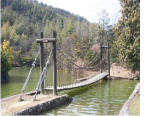 水の上に吊り橋がかかっている写真