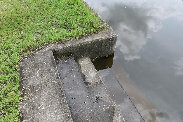 ボート池の船着き場