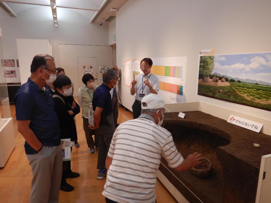 4年生が兵庫県立考古博物館を訪れ、特別展示を観覧するようす