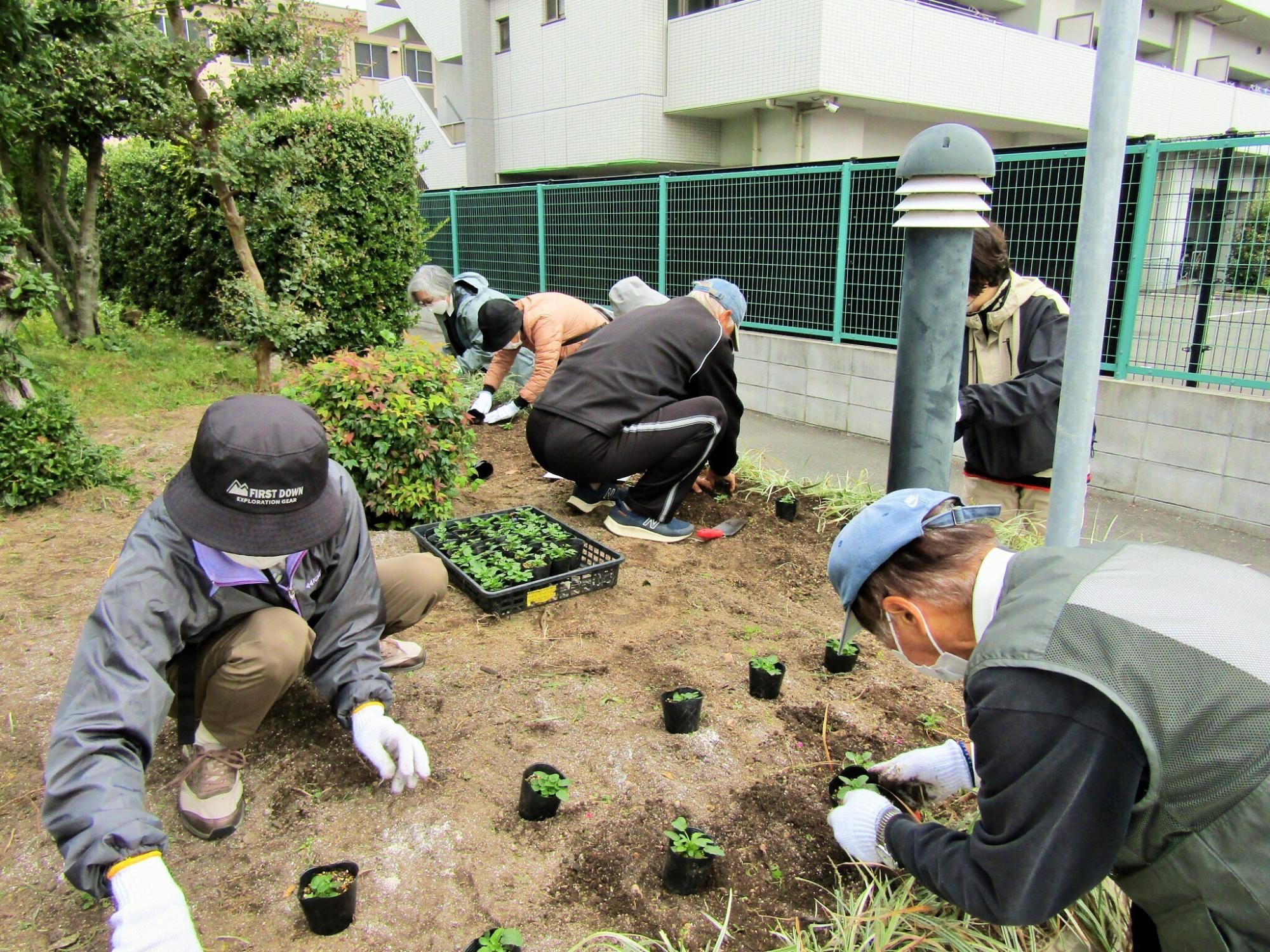 植栽活動の様子