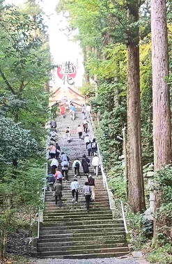 宇倍神社の石段を上る様子