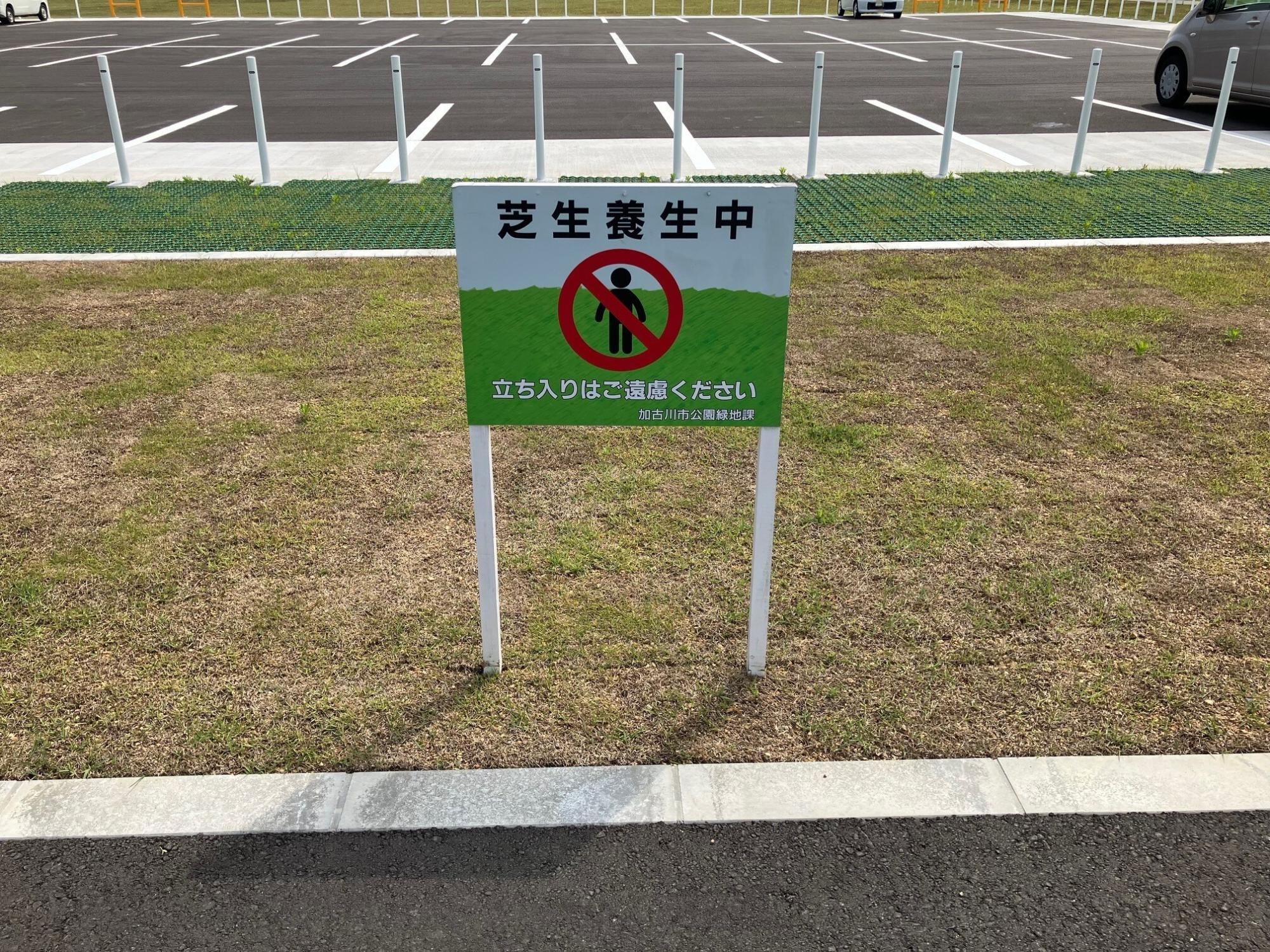 河川敷整備の様子8