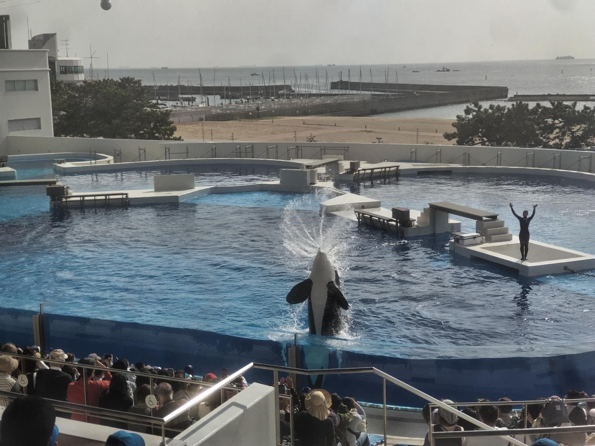 山手寿大学研修旅行