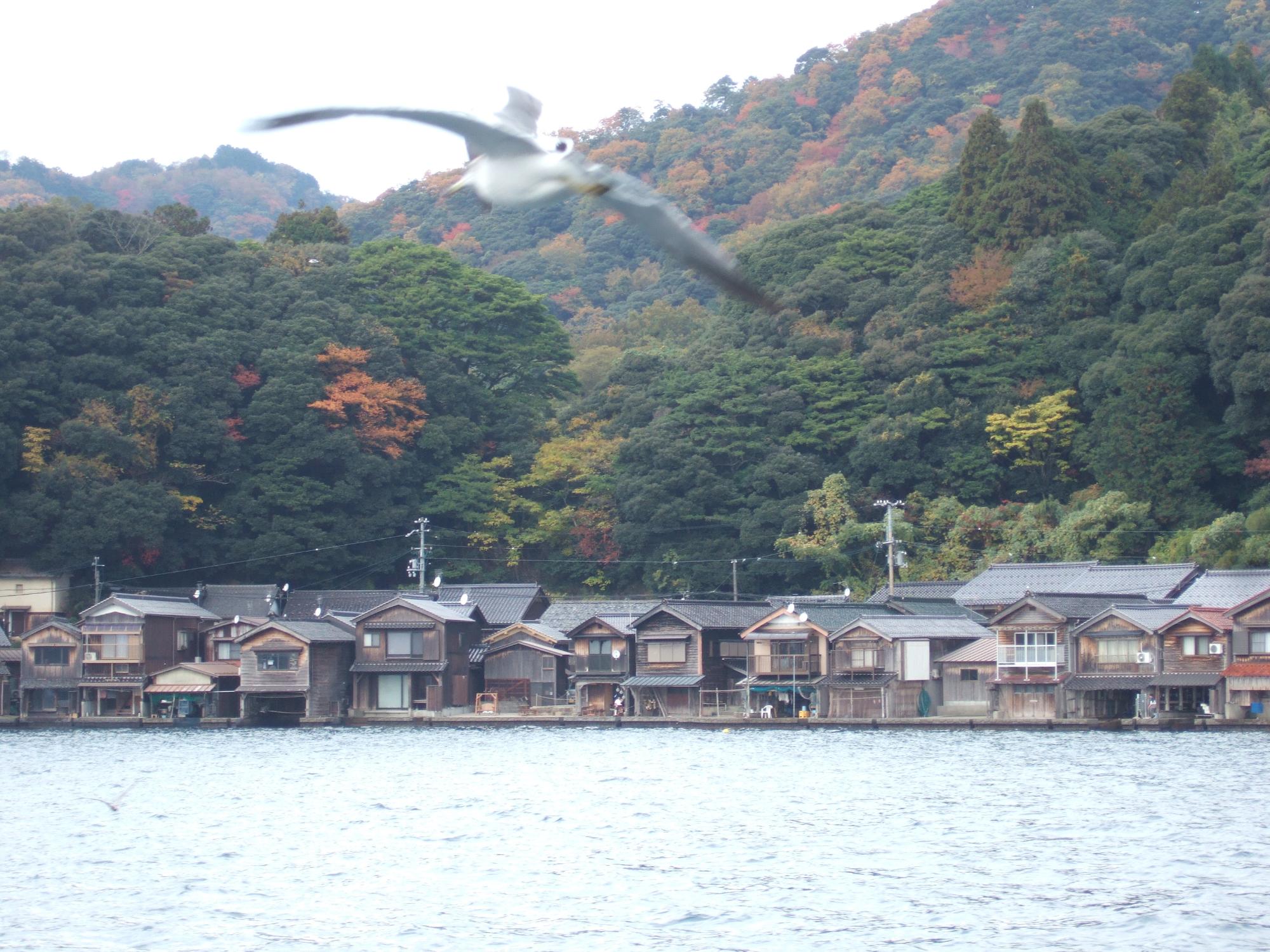 野口ふれあい大学講座の様子