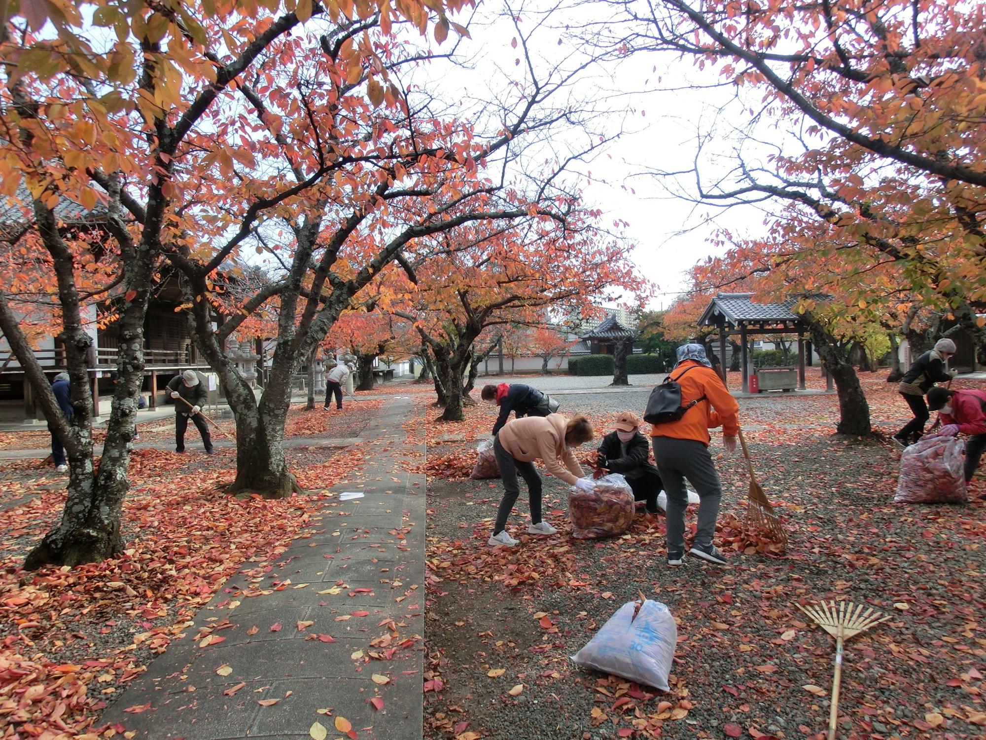 野口ふれあい大学ボランティアの様子