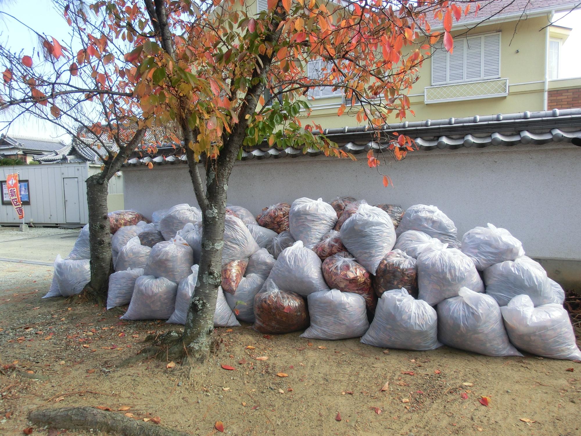野口ふれあい大学ボランティアの様子