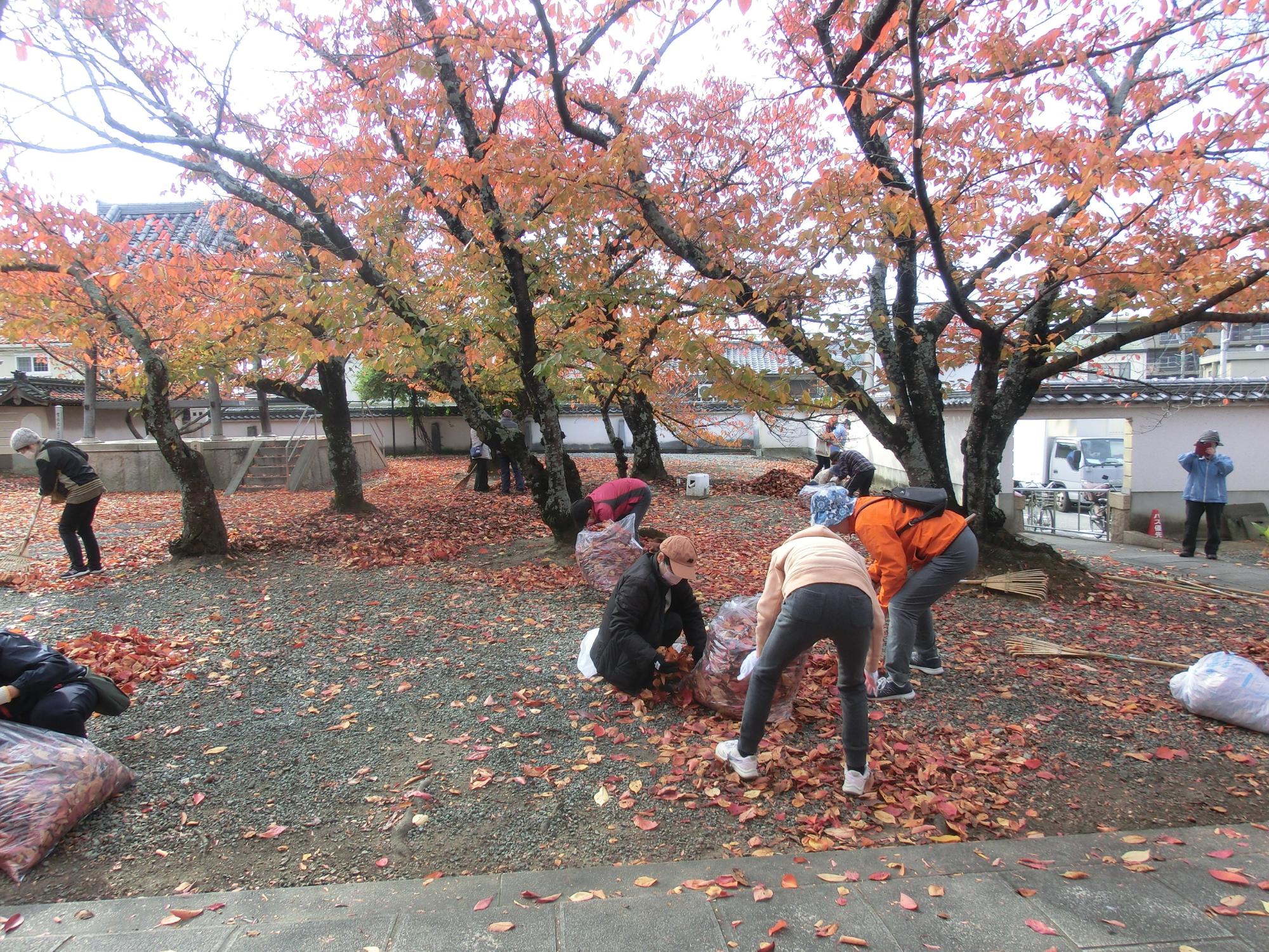 野口ふれあい大学ボランティアの様子